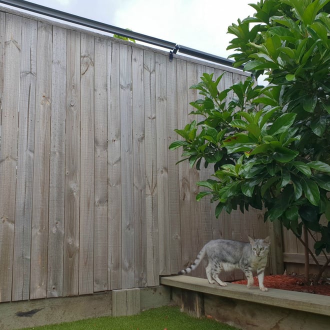 Oscillot Cat Containment System 07